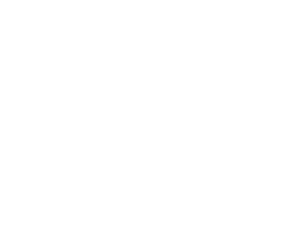 Dark Logo transparent